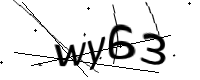 captcha_img