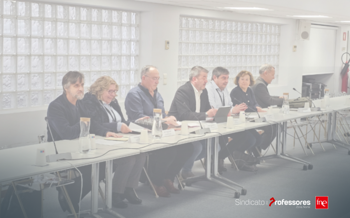 FNE reúne com MECI