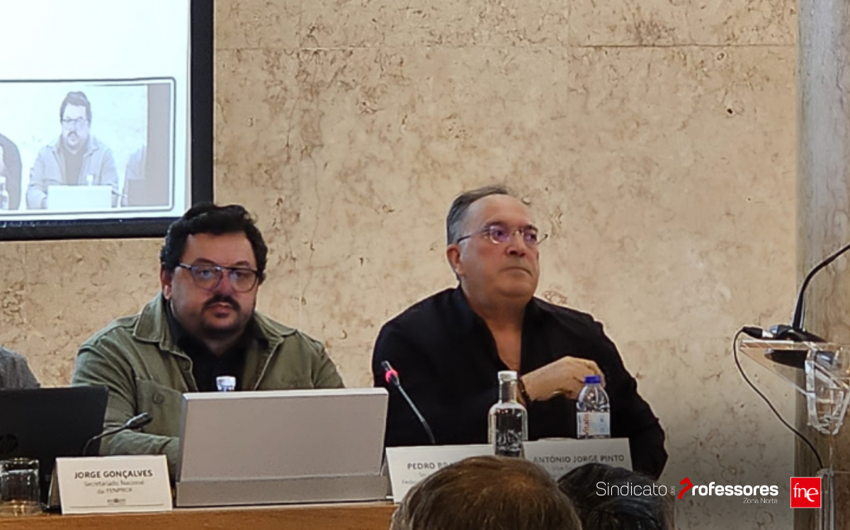 FNE em Audição Pública sobre o Projeto de Lei 398/XVII/1